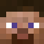 Skin de steve