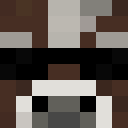 Skin de NeDroZ