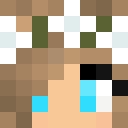 Skin de Hyshox
