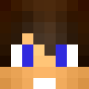 Skin de Zeemmour