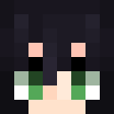Skin de nanactl