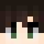 Skin de leoloula