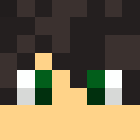 Skin de Punkaria