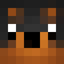Skin de DogFire