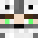 Skin de CG_1008