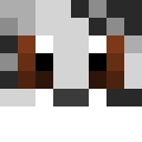 Skin de EvoliBouleDePoil