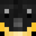 Skin de Welloux