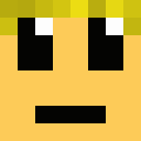 Skin de niaou73